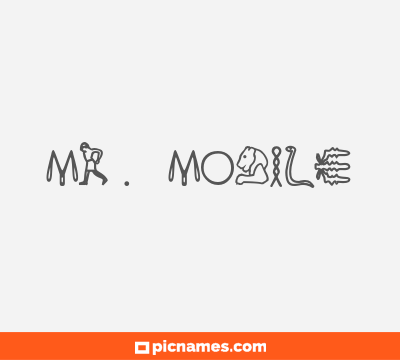 Mr. Mobile